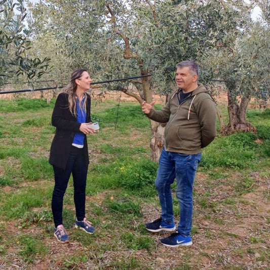 Olives vertes BIO farcies aux poivrons – Seau professionnel 3 kg net égoutté 🍃