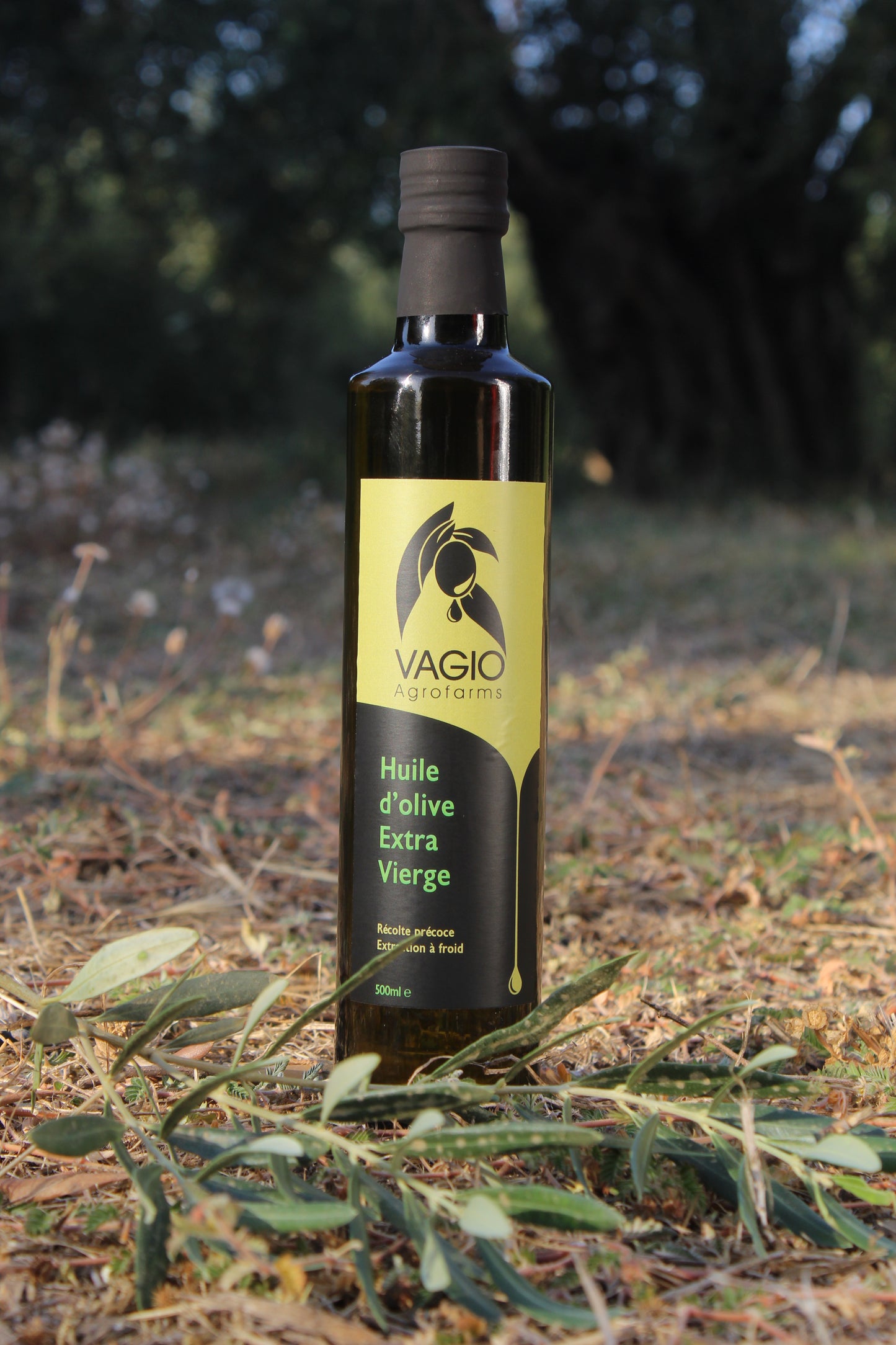 🫒 Extra Virgin Olive Oil – Chalkidiki Variety – 100 ml • 250 ml • 500 ml