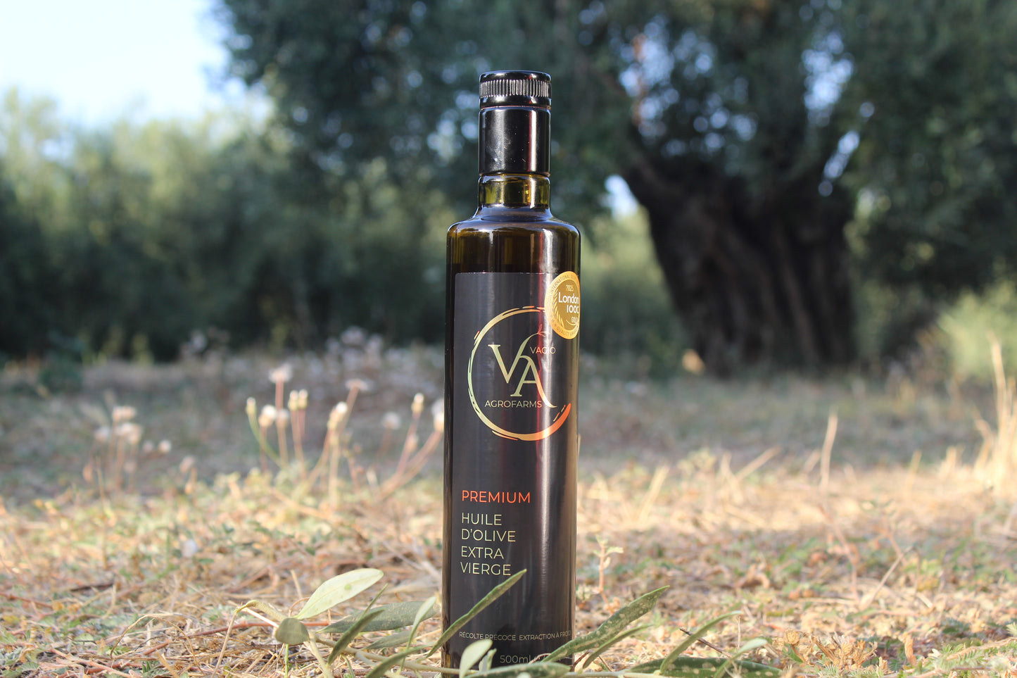 🏅 Premium Extra Virgin Olive Oil – Chalkidiki Variety • 50 ml • 500 ml -