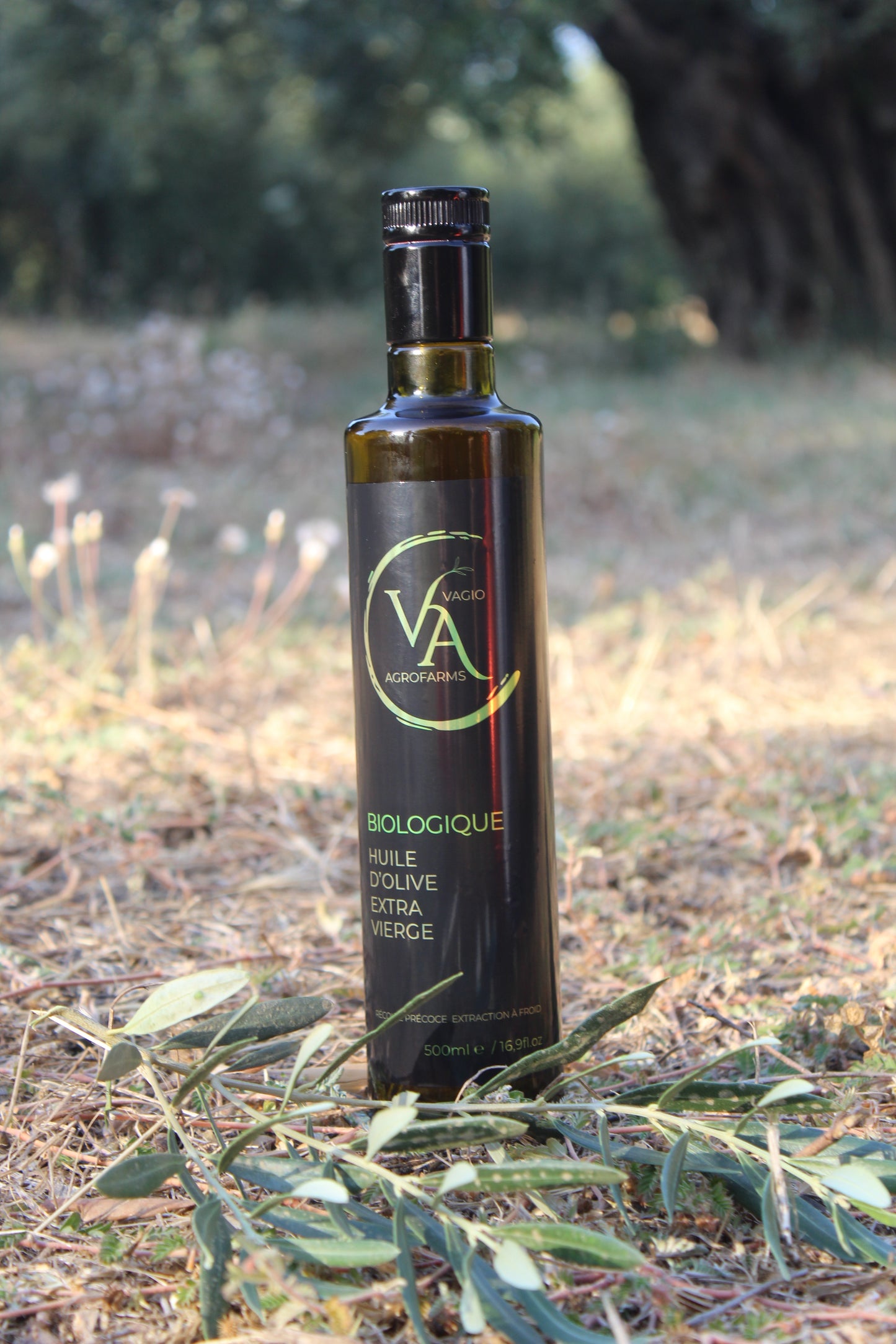 🌱 Organic Extra Virgin Olive Oil – Koroneiki Variety – 50 ml • 500 ml