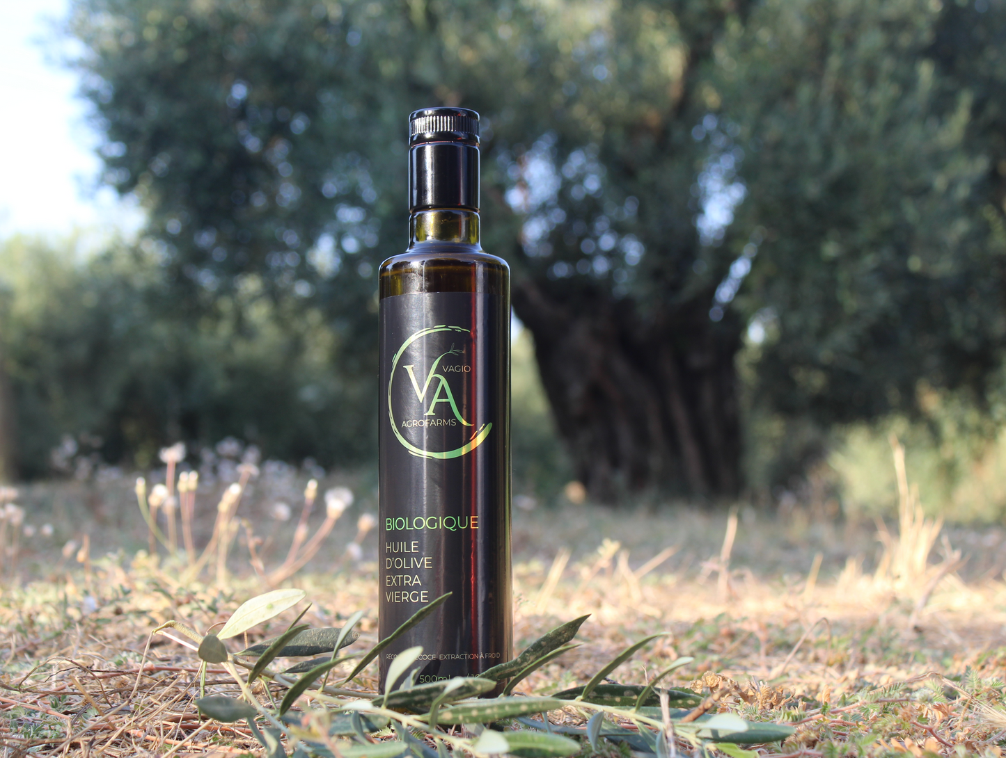 🌱 Organic Extra Virgin Olive Oil – Koroneiki Variety – 50 ml • 500 ml