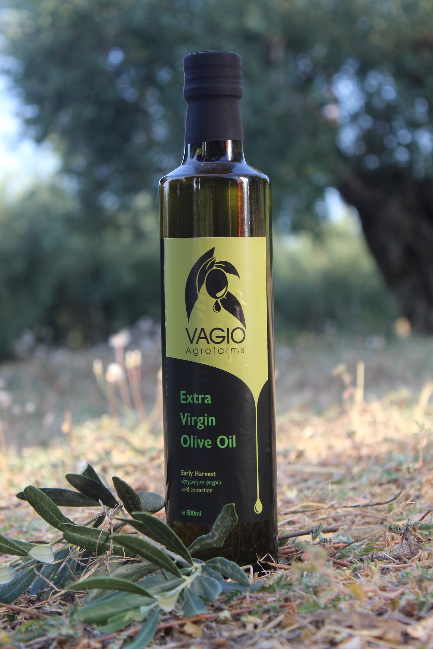 🫒 Extra Virgin Olive Oil – Chalkidiki Variety – 100 ml • 250 ml • 500 ml