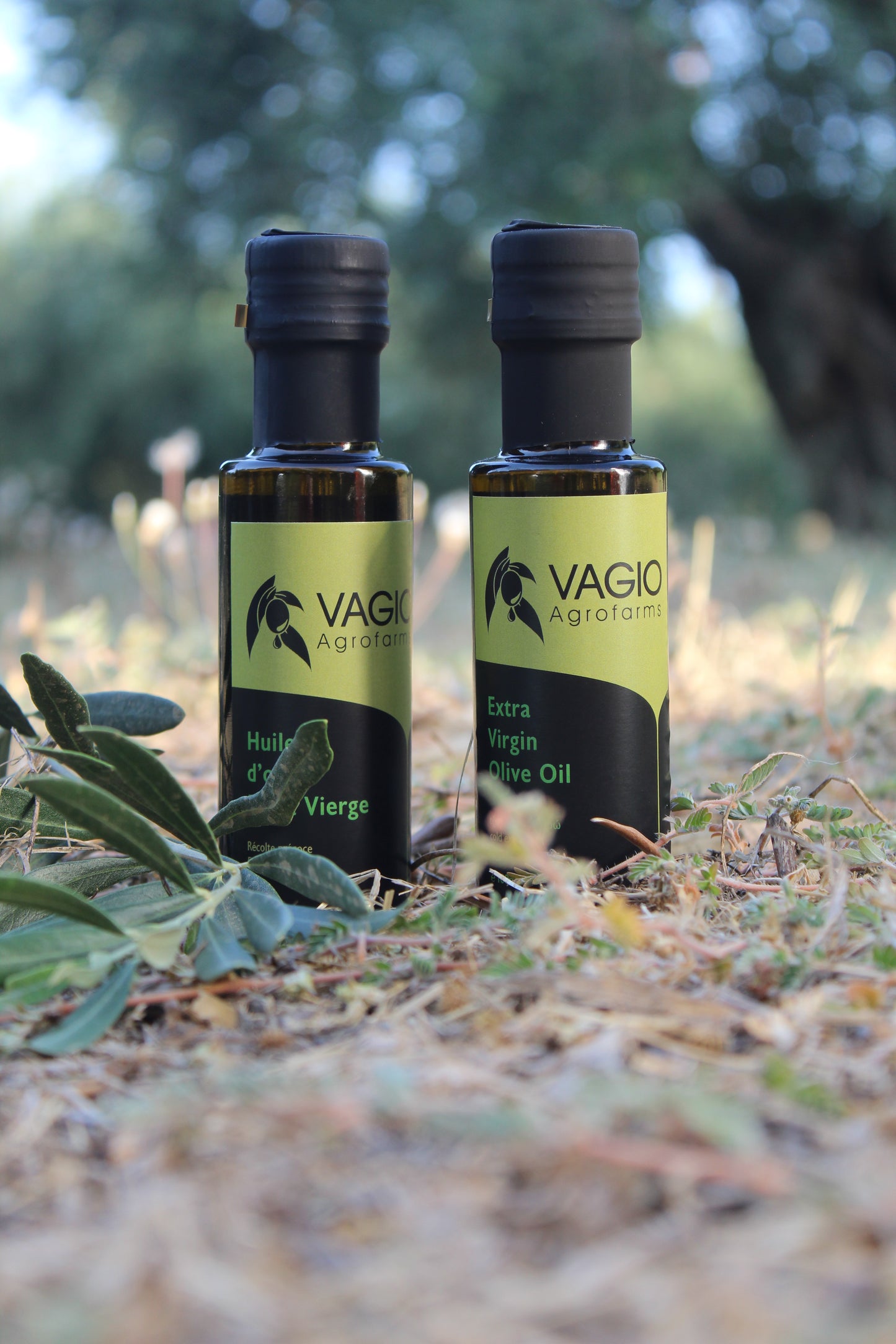 🫒 Extra Virgin Olive Oil – Chalkidiki Variety – 100 ml • 250 ml • 500 ml