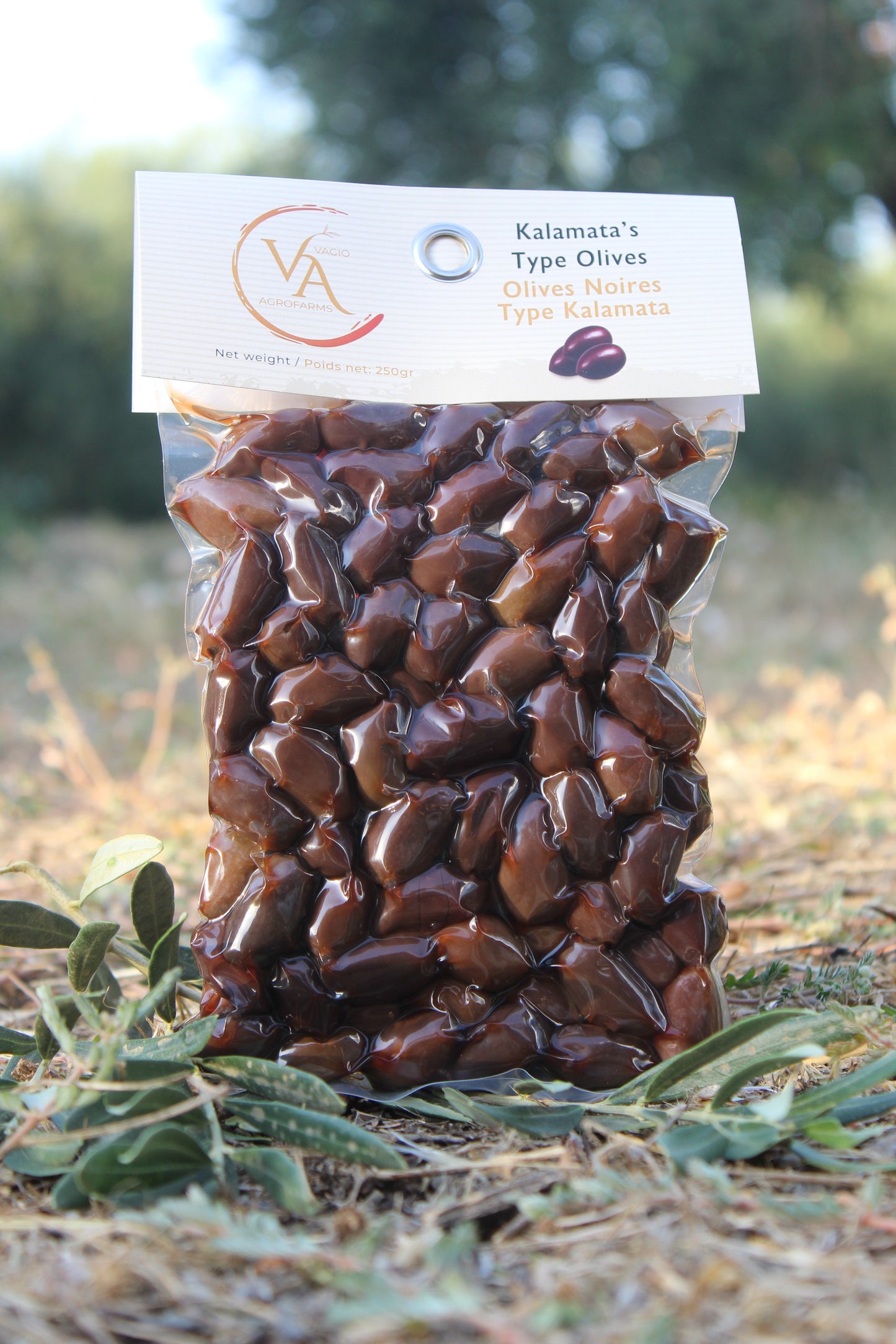 🫒 Kalamon Black Olives (From Kalamata) – 3 Ways to Taste Greek Intensity