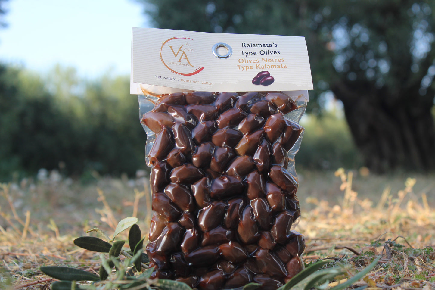 🫒 Kalamon Black Olives (From Kalamata) – 3 Ways to Taste Greek Intensity