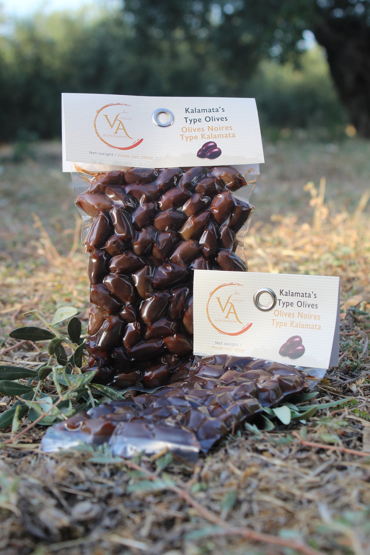 🫒 Kalamon Black Olives (From Kalamata) – 3 Ways to Taste Greek Intensity