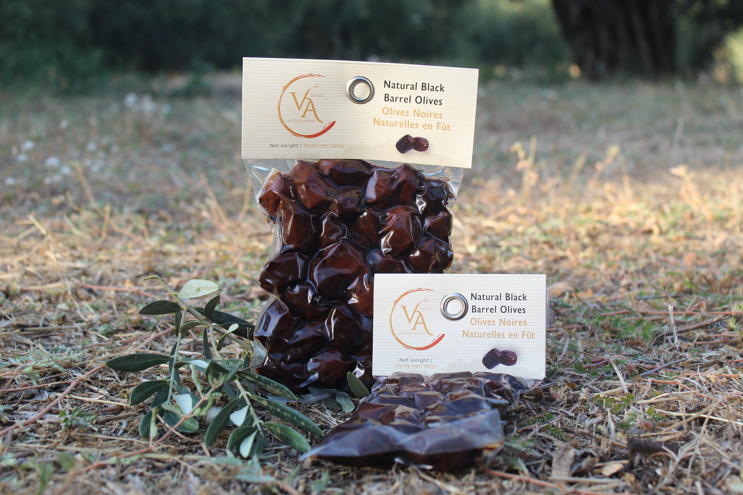 🫒 Kalamon Black Olives (From Kalamata) – 3 Ways to Taste Greek Intensity
