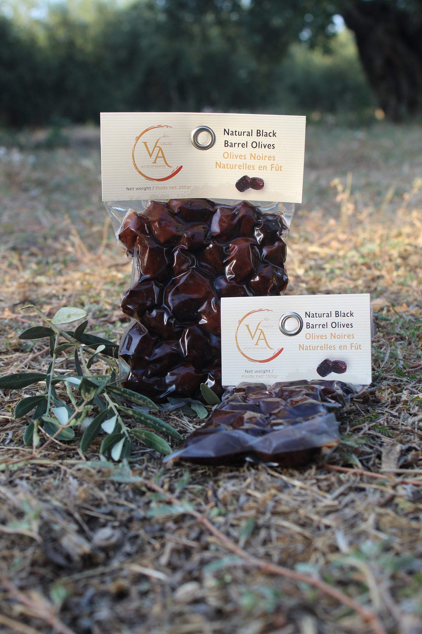 🫒 Kalamon Black Olives (From Kalamata) – 3 Ways to Taste Greek Intensity