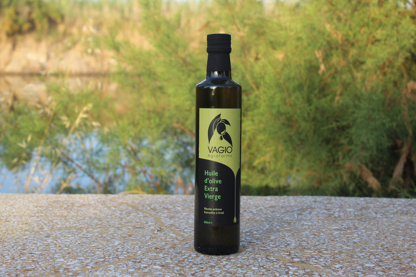🫒 Extra Virgin Olive Oil – Chalkidiki Variety – 100 ml • 250 ml • 500 ml