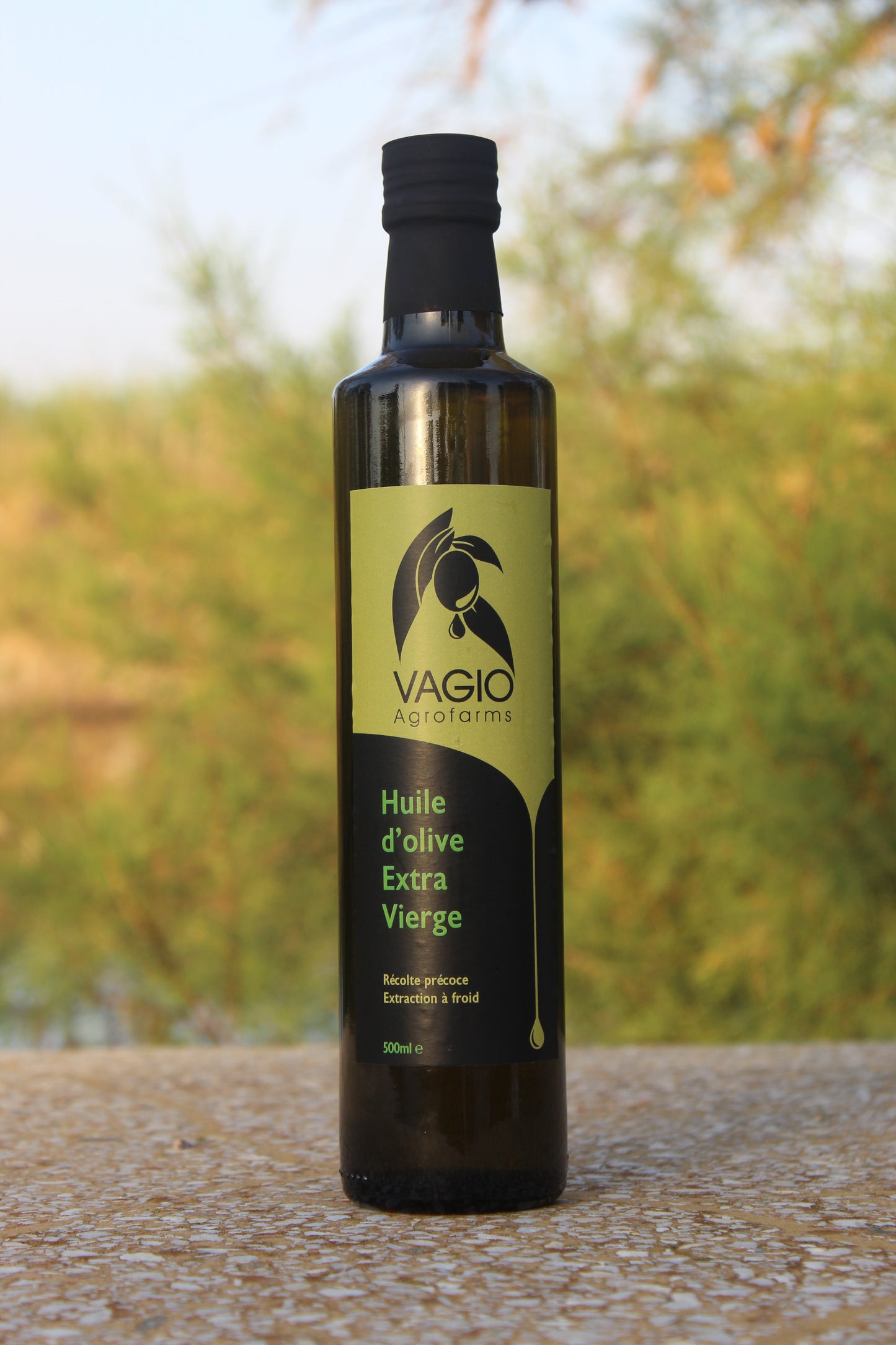 🫒 Extra Virgin Olive Oil – Chalkidiki Variety – 100 ml • 250 ml • 500 ml