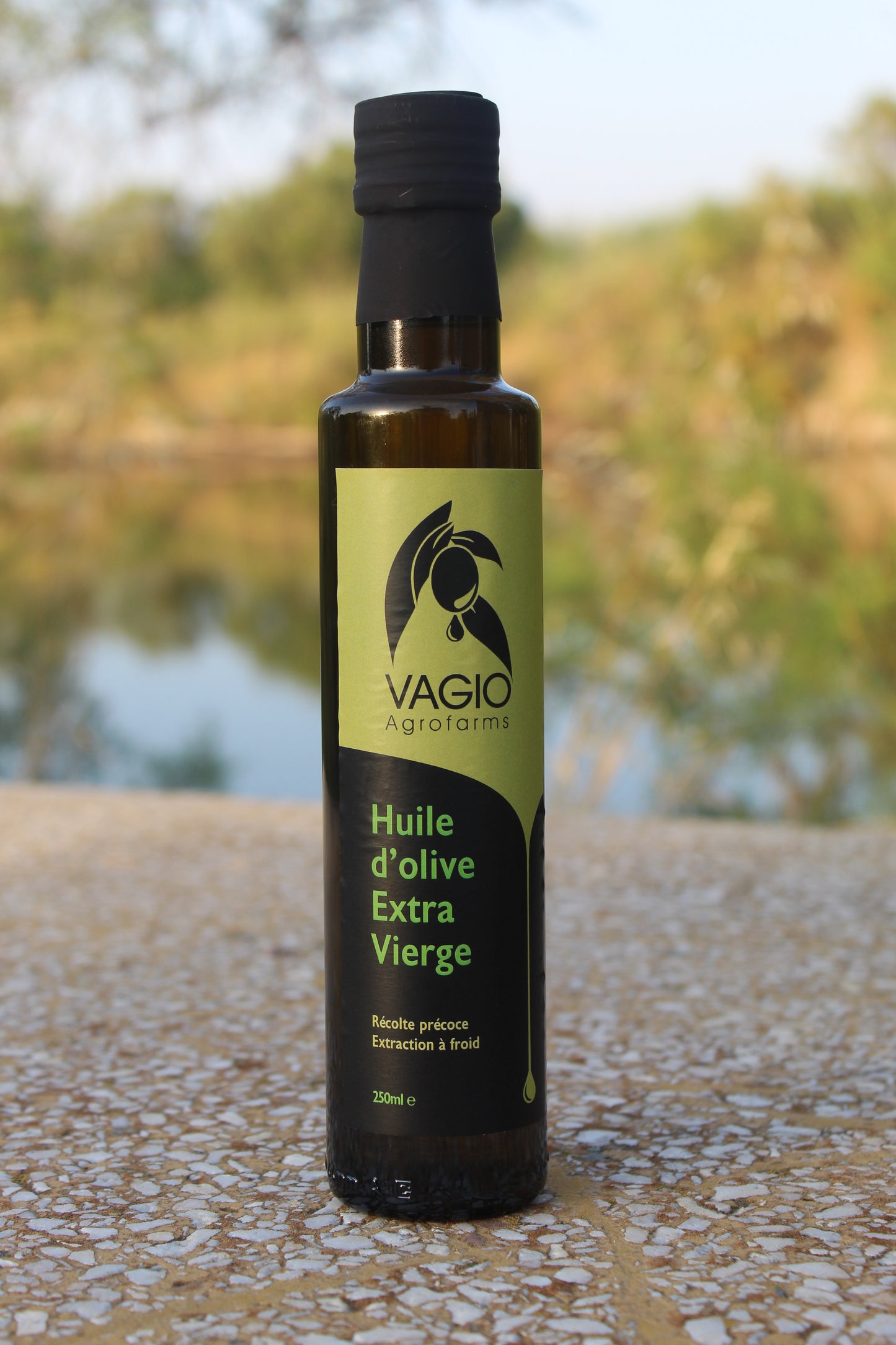 🫒 Extra Virgin Olive Oil – Chalkidiki Variety – 100 ml • 250 ml • 500 ml