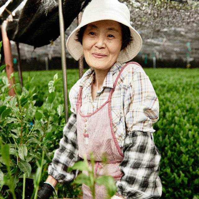 đ”âš ThĂ© Matcha Premium Bio du Japon | Kumiko Matcha