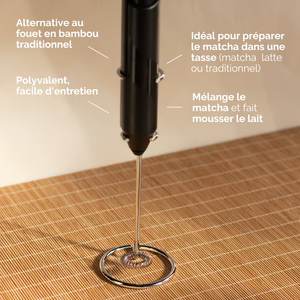 đ” FOUET ĂLECTRIQUE POUR MATCHA â Anatae