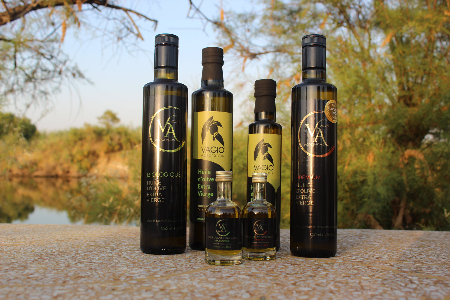 🫒 Huiles d’Olive de Grèce – Lumière en Bouteille