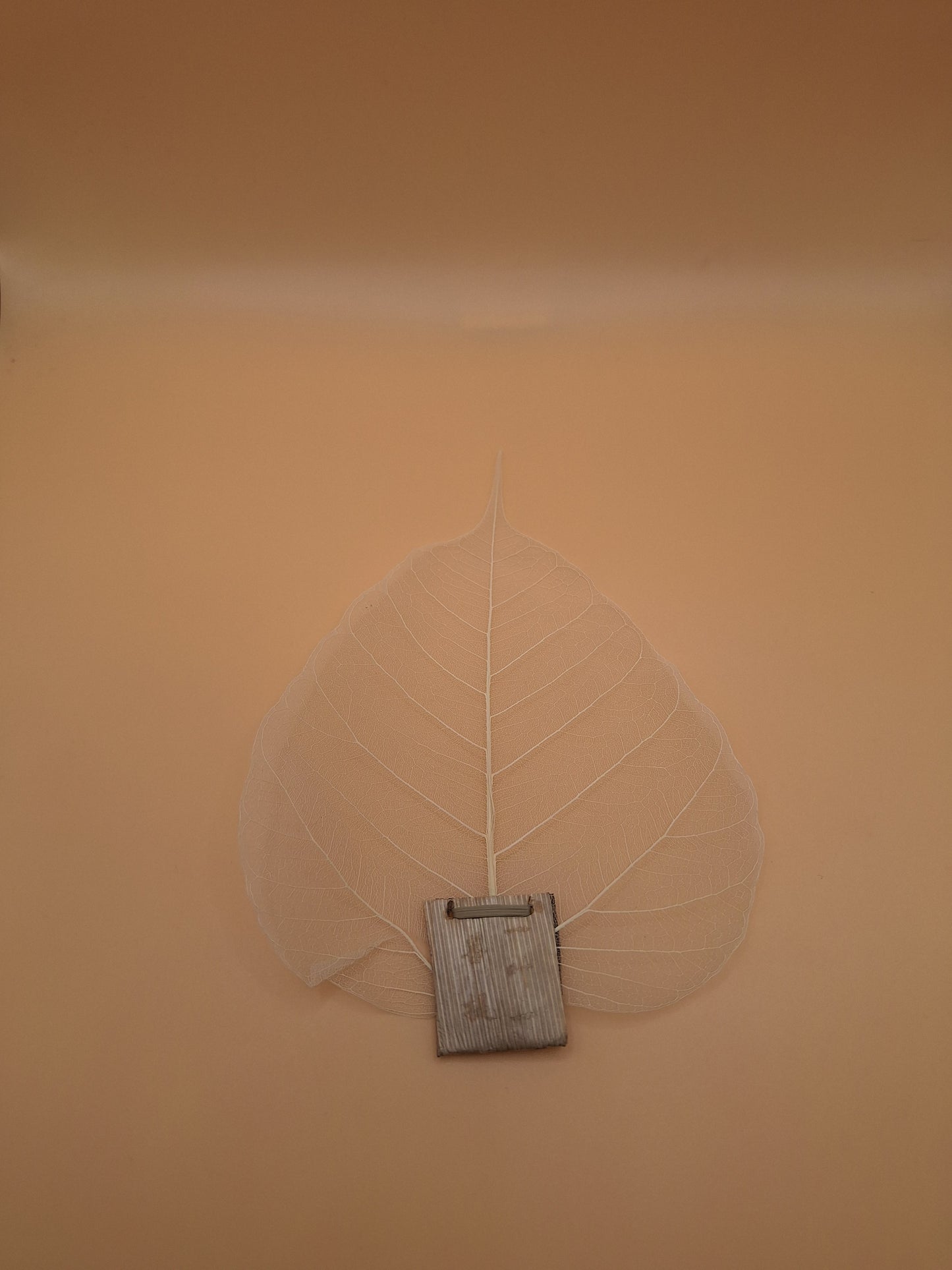 🍃 Filtre à Thé Bodhi – Feuille d’Arbre en Paille de Blé Naturelle