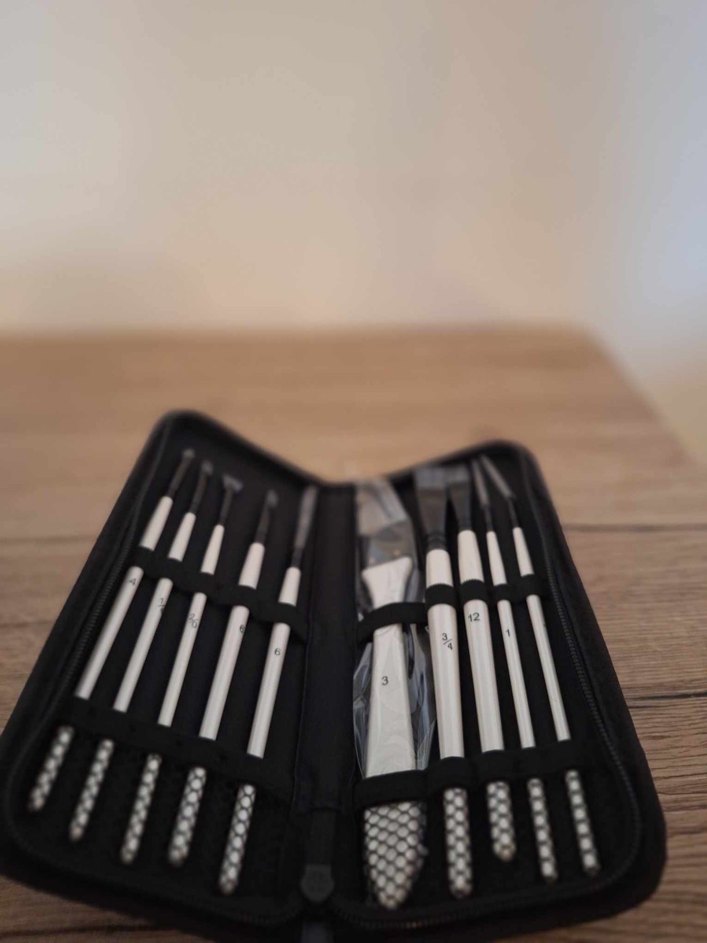 🎨Ensemble de 10 pinceaux de peinture de qualité + étui