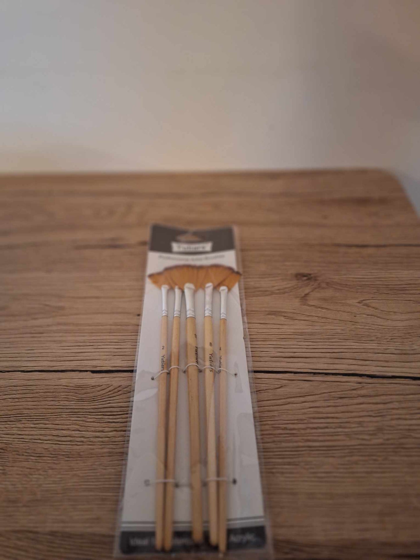 🎨 Set of 5 Brand New Quality Fan Brushes 🎨