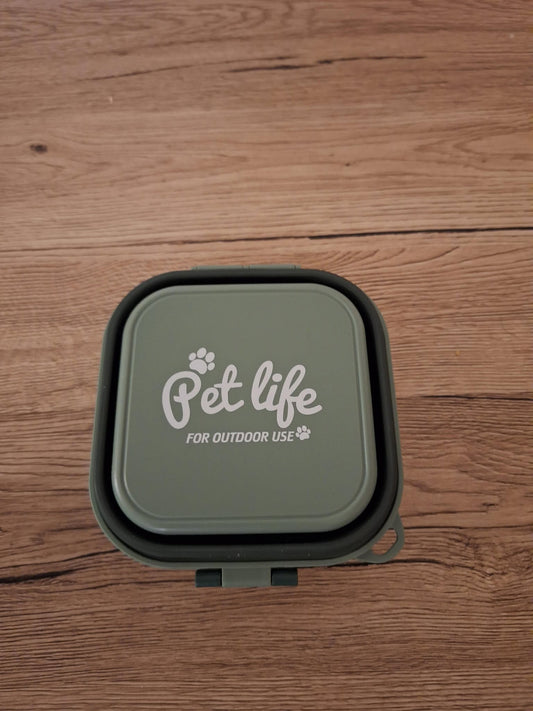 2-in-1 Portable Dog Bowl - Pet Dancer Green | Height: 7 cm