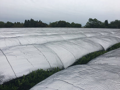 🍵✨ Matcha Hyperpremium Bio – Grand Cru d’Exception (Série Limitée)
🌿 Issu du terroir volcanique de Kirishima – Japon - 30g - Kumiko Matcha