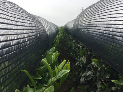 🍵✨ Matcha Hyperpremium Bio – Grand Cru d’Exception (Série Limitée)
🌿 Issu du terroir volcanique de Kirishima – Japon - 30g - Kumiko Matcha