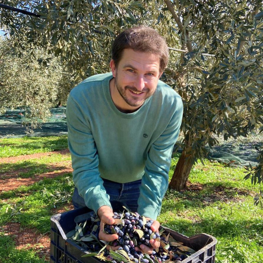 Olives de Kalamata à l’huile d’olive BIO – Format professionnel 4,7 kg 🍈💚