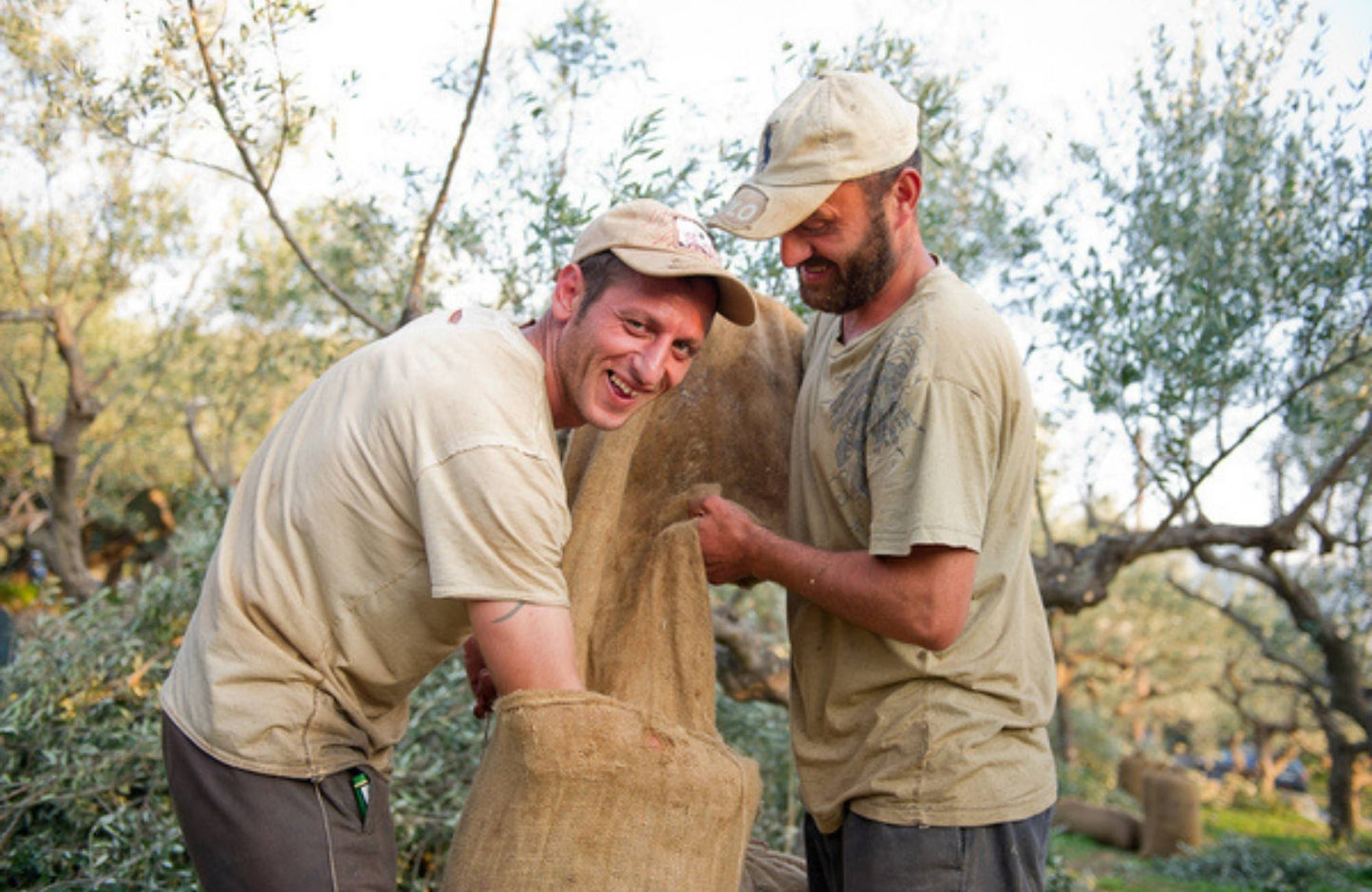 Olives de Kalamata à l’huile d’olive BIO – Format professionnel 4,7 kg 🍈💚