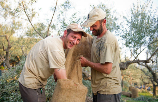 Huile d’olive vierge Extra BIO Mani – Bidon 5 L - Péloponnèse