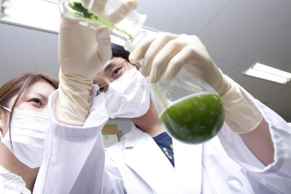 🍵✨ Thé Matcha Premium Bio du Japon | Kumiko Matcha