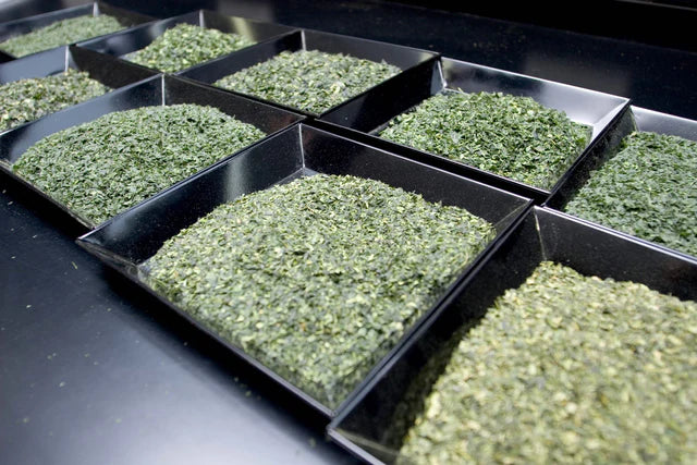 🍵✨ Thé Matcha Premium Bio du Japon | Kumiko Matcha