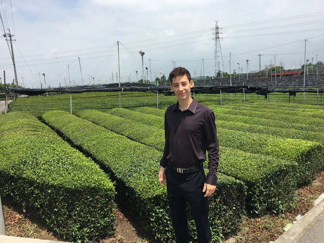 🍵✨ Thé Matcha Premium Bio du Japon | Kumiko Matcha