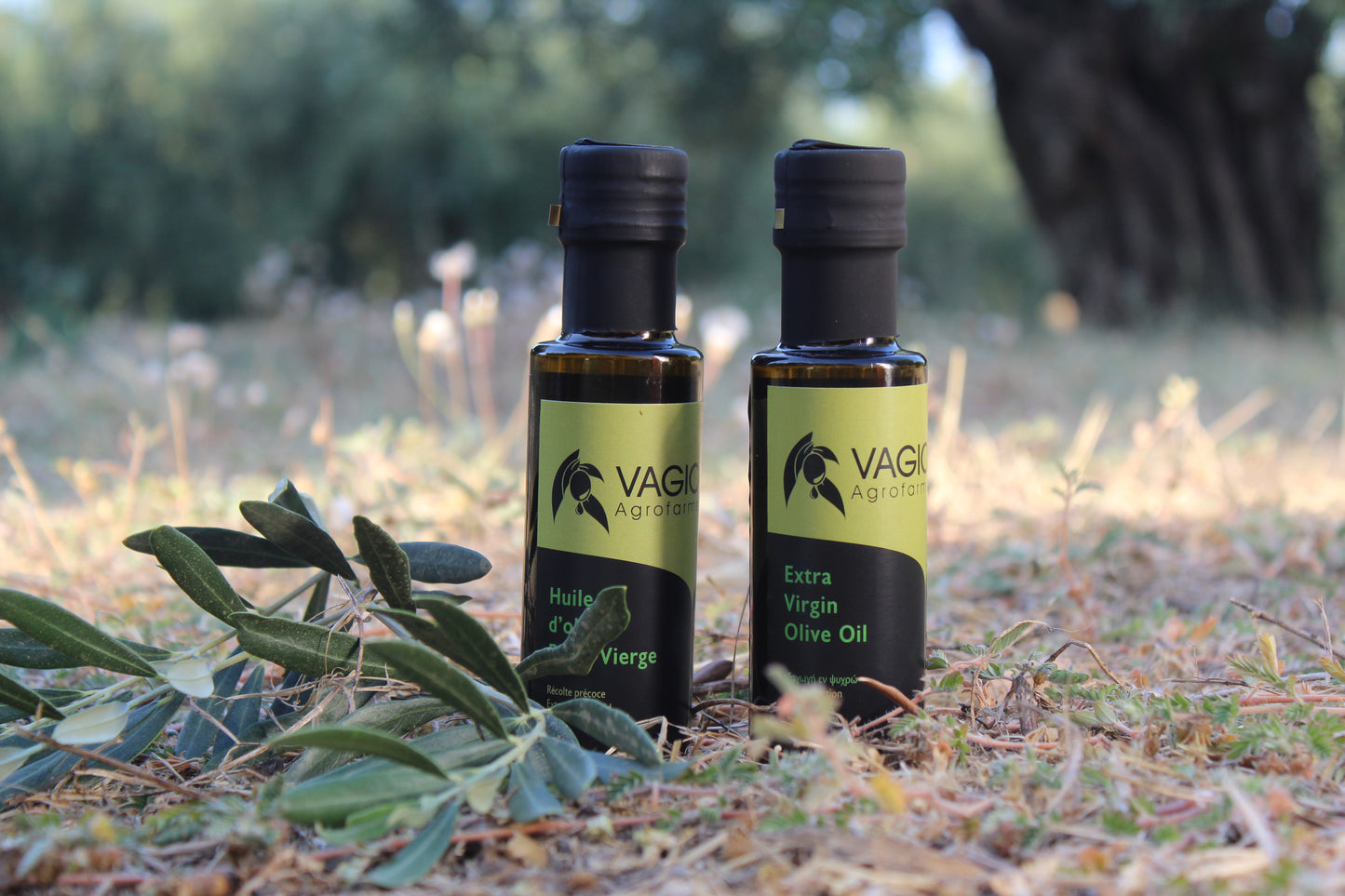 🫒 Extra Virgin Olive Oil – Chalkidiki Variety – 100 ml • 250 ml • 500 ml