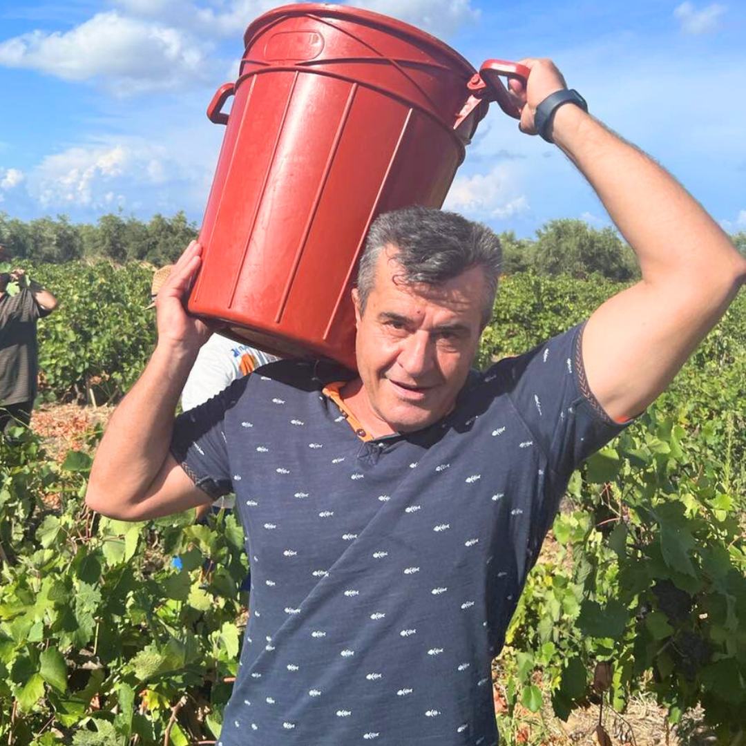 Huile d’olive vierge extra BIO Kanakis – AOP Kalamata – 5 L