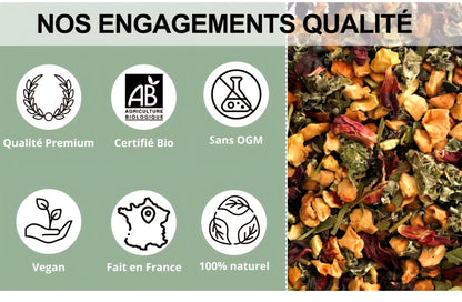 🌿 Poudre Matcha Bio d’Obvious Tea – Poudre de thé vert d’exception 50gr - 100gr - 200gr