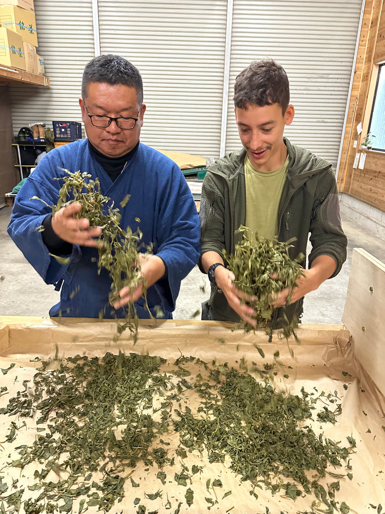 🍃✨ Matcha HINATA Légendaire Bio – par Takeshi-san - Kumiko Matcha