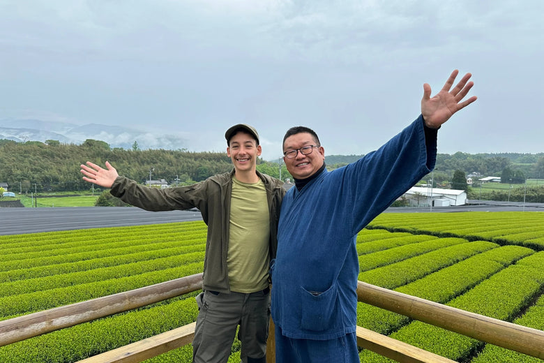 🍃✨ Matcha HINATA Légendaire Bio – par Takeshi-san - Kumiko Matcha