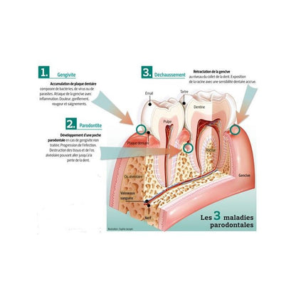 Bain de bouche au mastic de Chios – Gingiv’Action | 250 ml 🍃