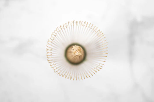 🍵✨ Fouet à Thé Matcha Artisanal – Bambou Noir | Japon (Nara) 100% authentique - Édition limitée - Partenaire Kumiko Matcha