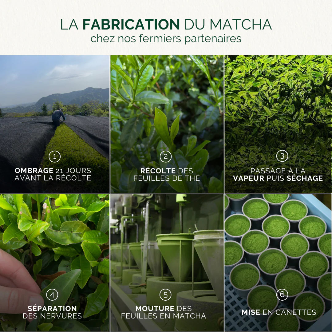 🌱✨ Thé Matcha Classique Bio – Anataé | Origine Fujieda (Shizuoka, Japon) ✨🌱