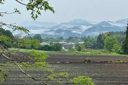 🍃✨ Matcha HINATA Légendaire Bio – par Takeshi-san - Kumiko Matcha