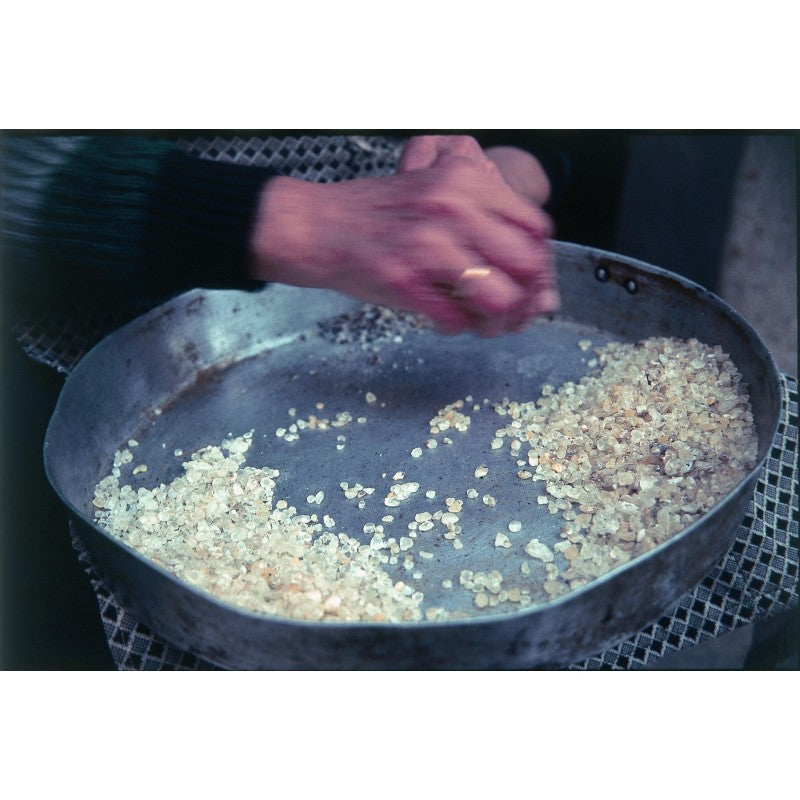 🌿 Mastic Pur de Chios – 20g (Grande Taille) | AOP – Résine Grecque Ancestrale🌿