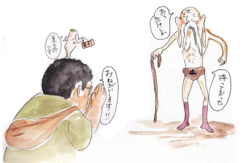 🍃✨ Matcha HINATA Légendaire Bio – par Takeshi-san - Kumiko Matcha