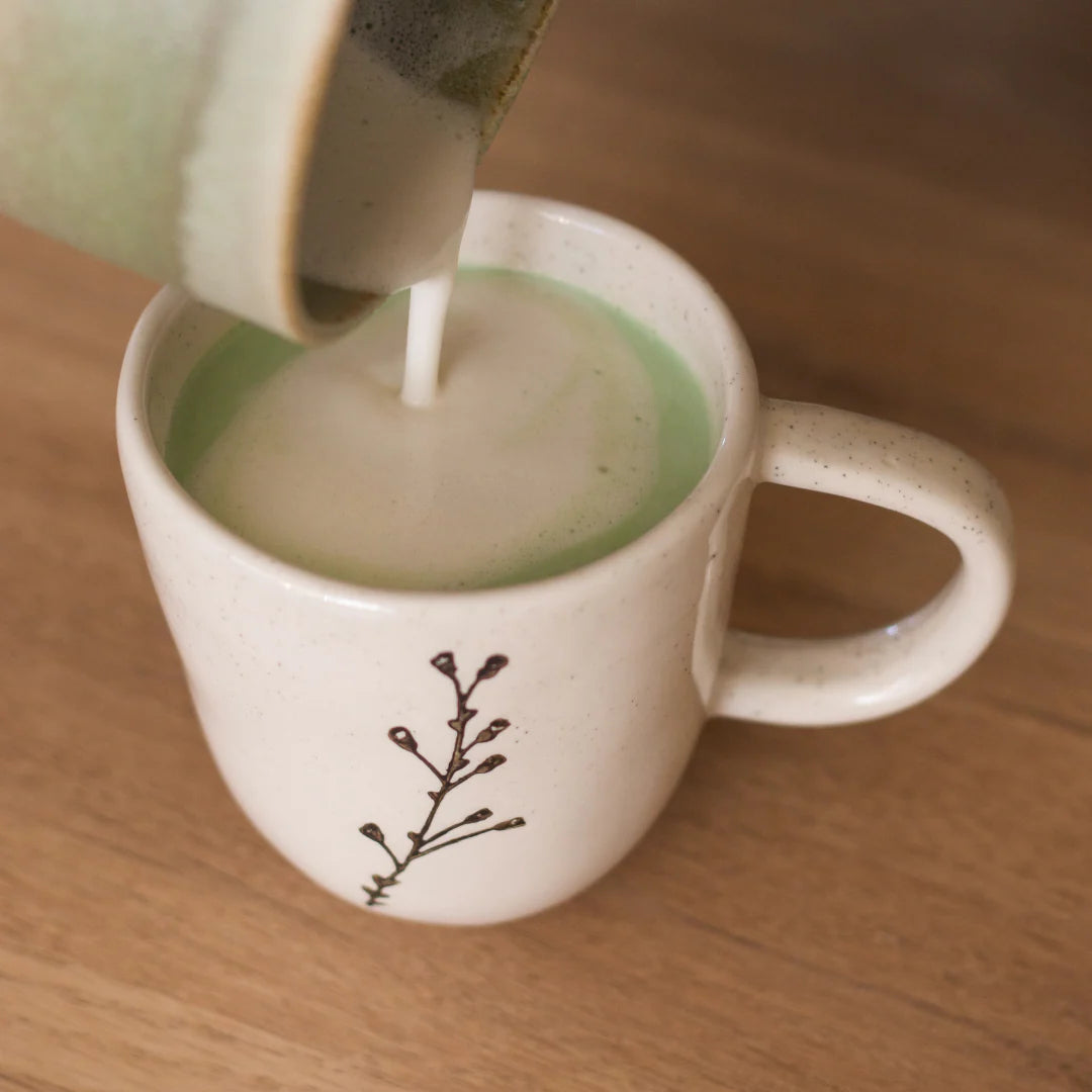 🌱✨ Thé Matcha Classique Bio – Anataé | Origine Fujieda (Shizuoka, Japon) ✨🌱