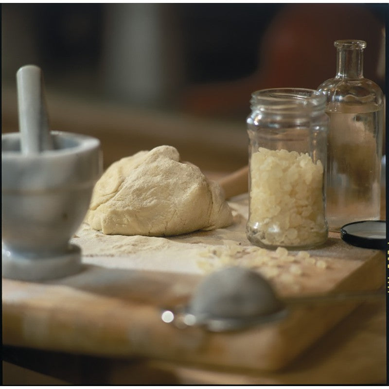 🍃 Poudre de Mastic de Chios AON & Inuline de Chicorée – Confort digestif & flore intestinale 🍃